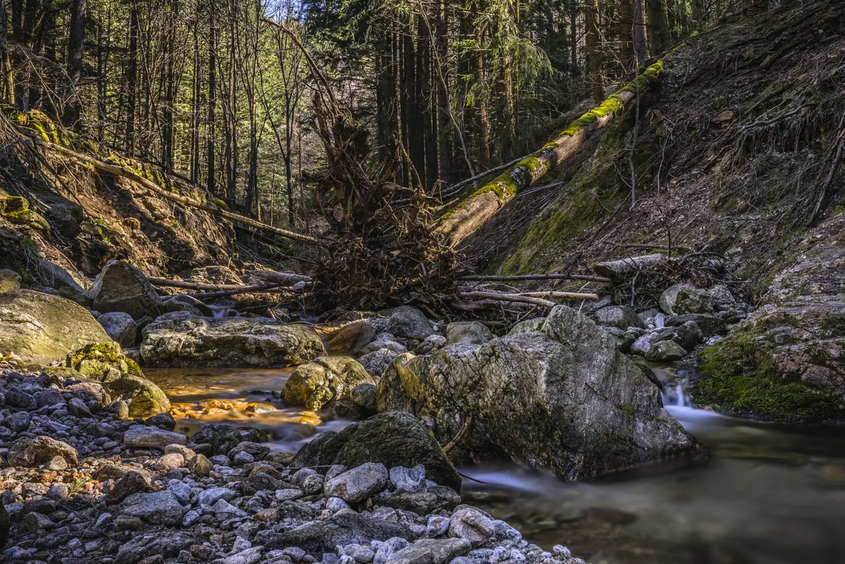 Ruisseau du Vialais entre des rochers et une forêt du Haut-Languedoc, en France