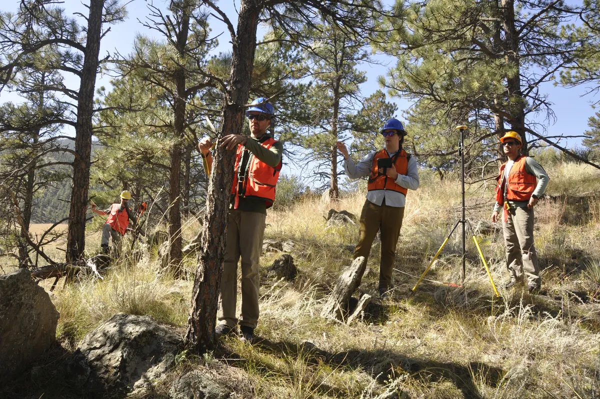 Quatre techniciens réalisent des mesures forestières et saisissent des données sur une tablette, parmi les arbres.